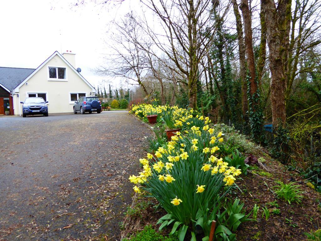 Camillaun Lodge With Lough Corrib Boat Hire Oughterard Exterior foto